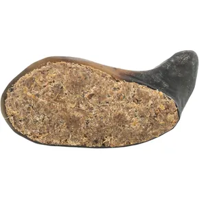 Buffalo Horn, buvolí roh plněný buvolí rohovinou a šlachou, 10-14 cm
